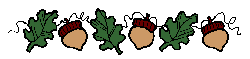 acorn