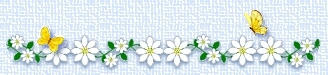 daisies