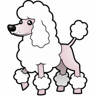 poodle